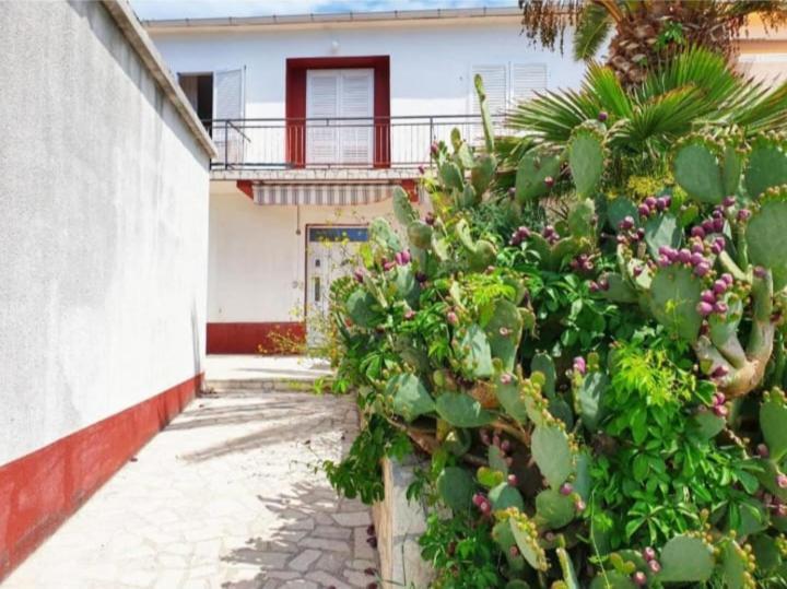 Apartmanibeta ستارا نوفالجا المظهر الخارجي الصورة