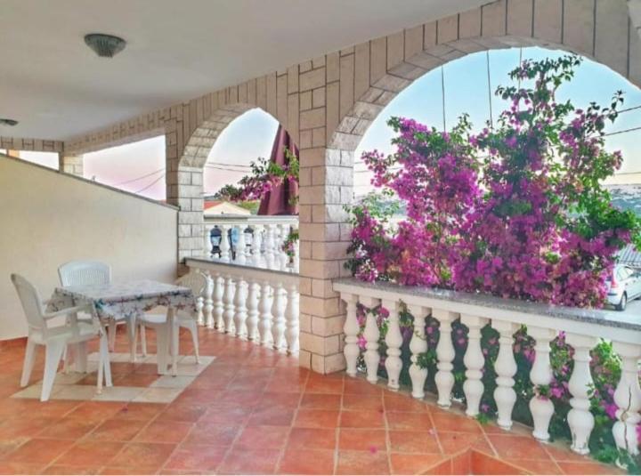 Apartmanibeta ستارا نوفالجا المظهر الخارجي الصورة